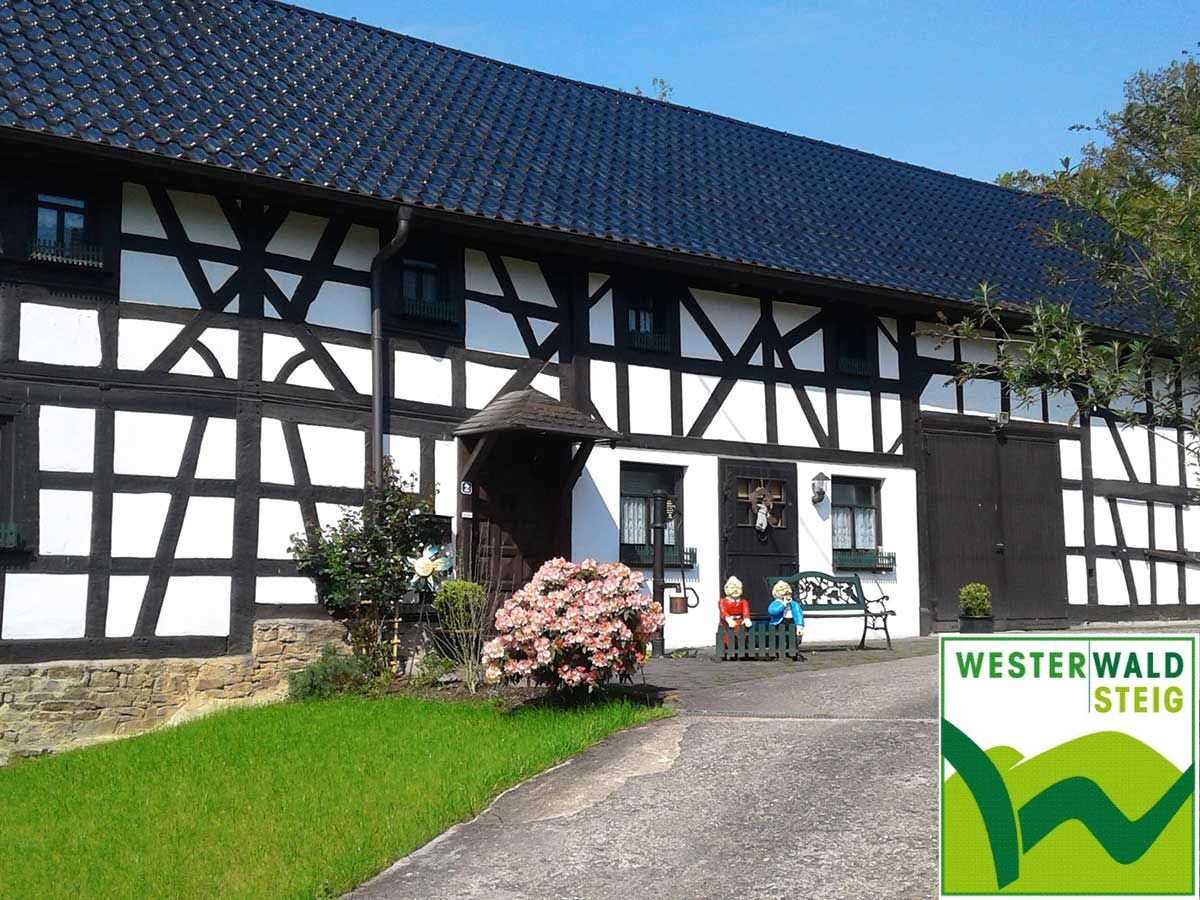 Der Westerwaldsteig: Etappe 12 von Weyerbusch nach Flammersfeld
