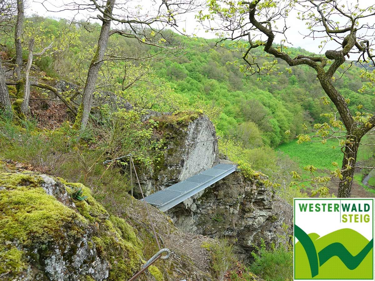 Der Westerwaldsteig: Etappe 13 von Flammersfeld nach Horhausen