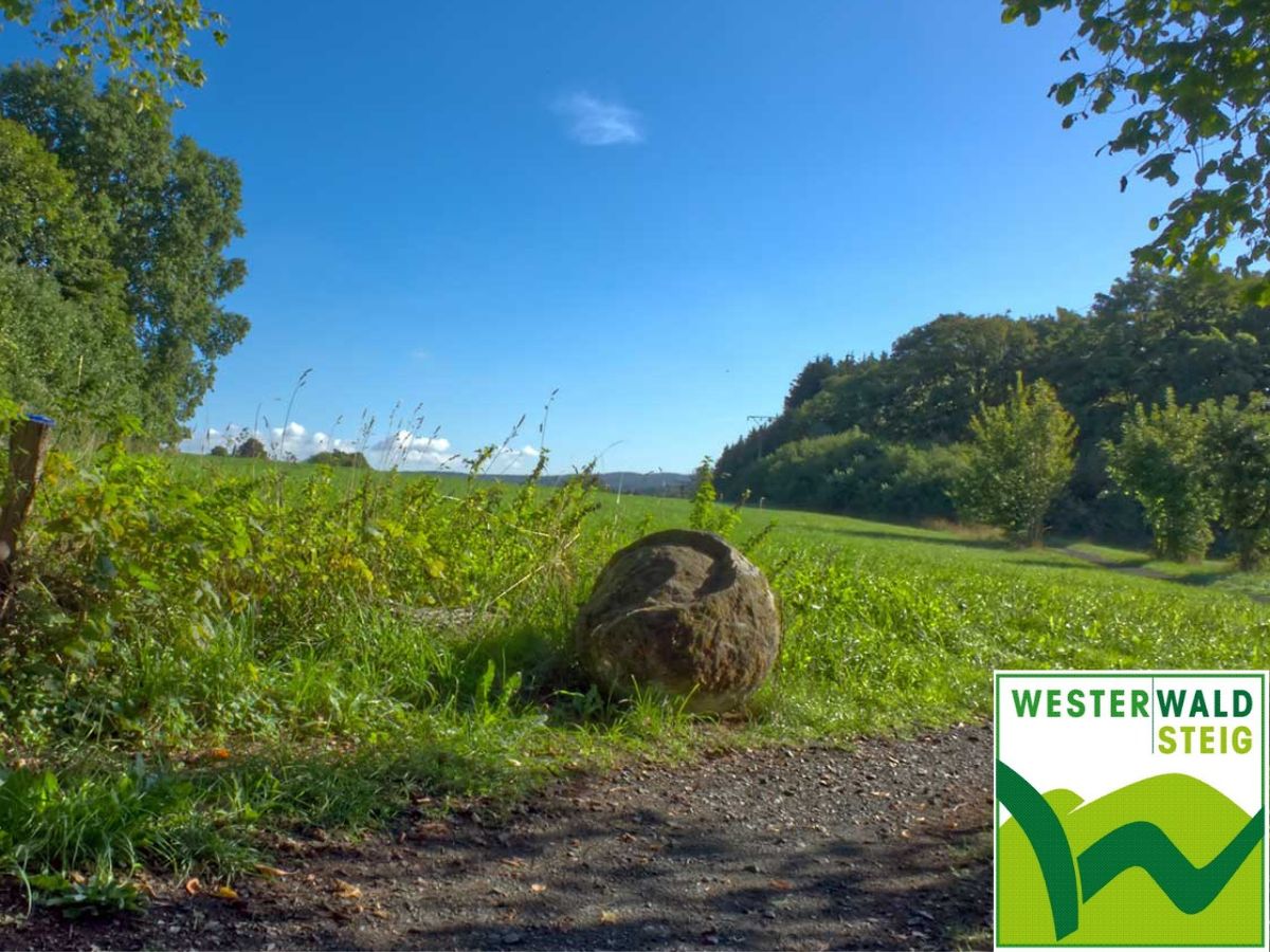 Der Westerwaldsteig: Etappe 4 von Rennerod nach Westerburg