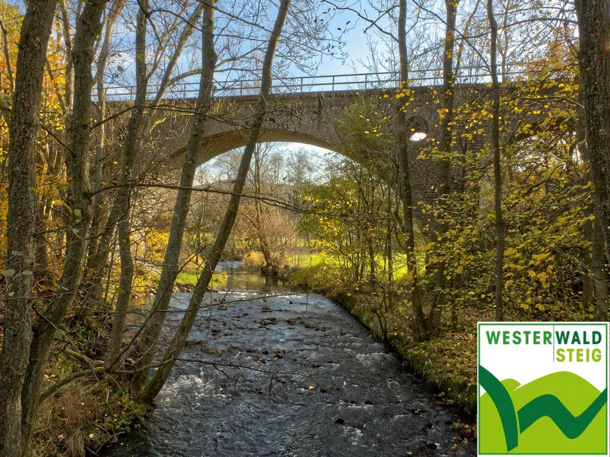 Der Westerwaldsteig: Etappe 7 von Nistertal nach Bad Marienberg