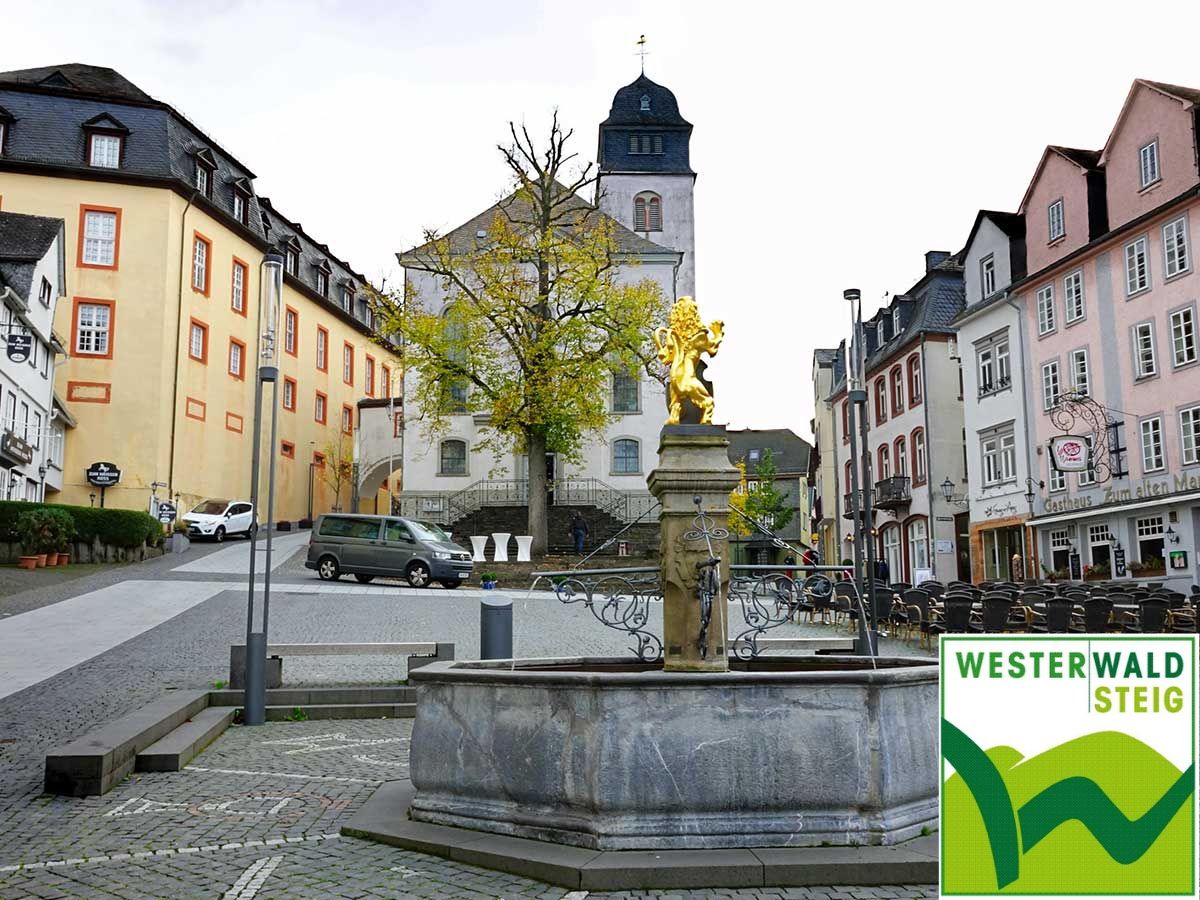 Der Westerwaldsteig: Etappe 8 von Bad Marienberg nach Hachenburg