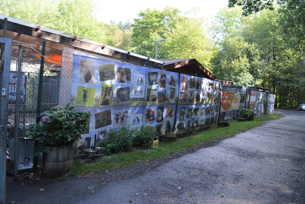 Die Zeiten des maroden Gebudes sind fr das Tierheim Ransbach-Baumbach bald vorbei. (Fotos: Wolfgang Rabsch)