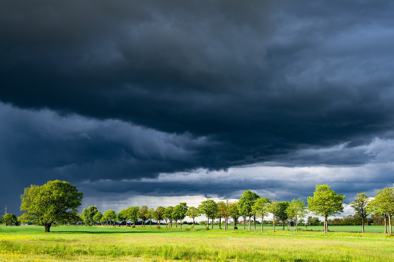 Achtung, Unwetter! Deutscher Wetterdienst warnt vor schweren Gewittern in Neuwied, Altenkirchen und Westerwald