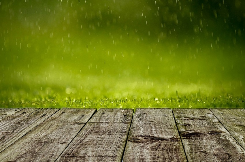 Kolumne Themenwechsel: Die Wettermeckerei