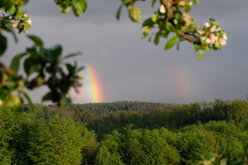 Am 1. Mai zeigt sich der Regenbogen auch im nrdlichsten Zipfel von Rheinland Pfalz (Katzwinkel/Fhringen). Fotos: KathaBe