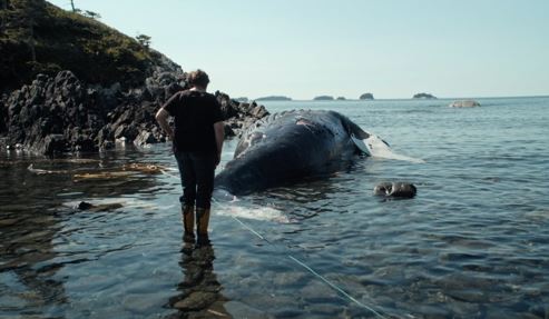 Szenenbild aus dem Film The Whale and The Raven  von Mirjam Leuze