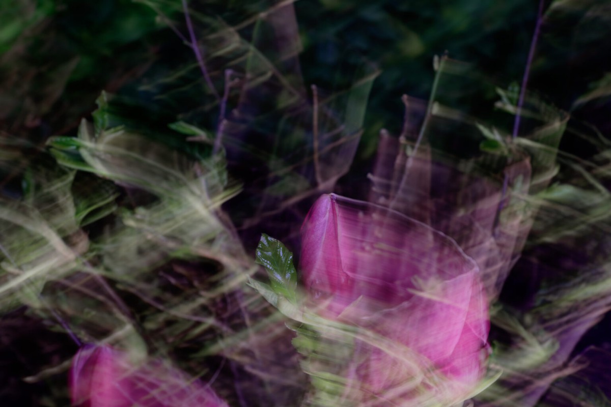 (Foto: Reimund Prokein)