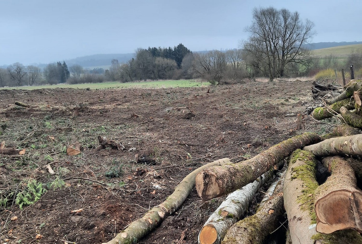 Die Renneroder wollen wieder mehr Attraktivitt in ihrem Ort. (Foto: Petra Gros)