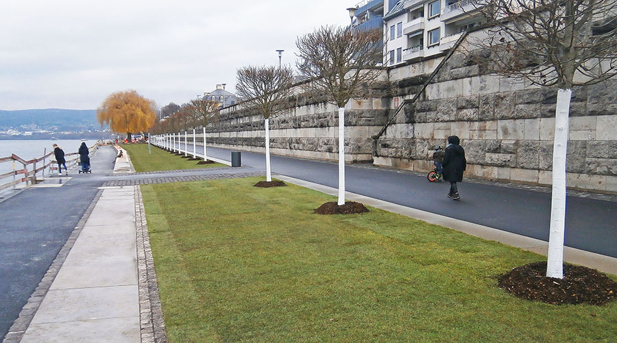 Neue Rheinuferpromenade ldt zum Flanieren ein  