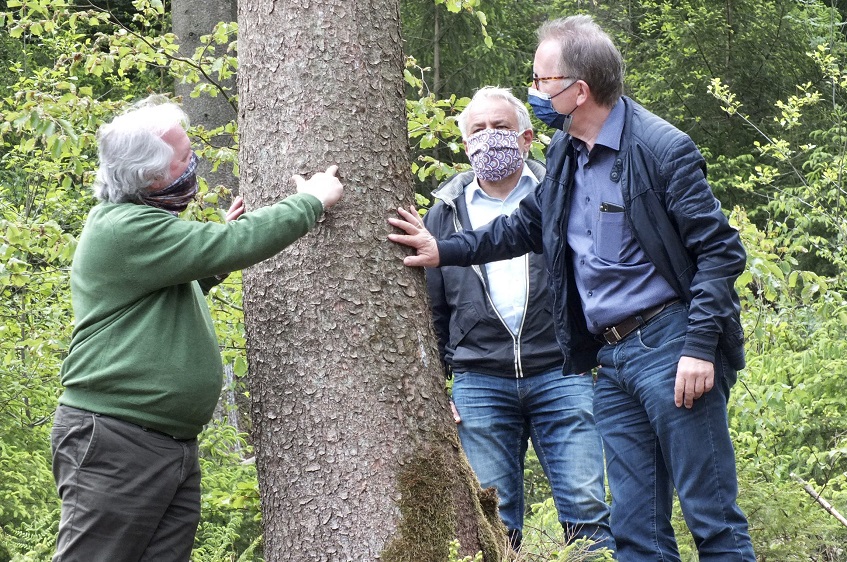 Rddel: Waldbegehung offenbart dramatische Schden im Kreis