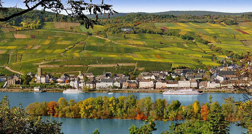 Der Tagesausflug der Horhausener Seniorenakademie am Mittwoch, 12. September, fhrt diesmal an den Rhein nach Rdesheim. (Foto: Veranstalter)