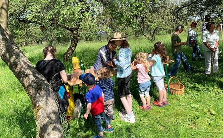 So interessant ging es "rund um die Bienen" zu. (Foto: Dorfgemeinschaft Katzwinkel-Elkhausen)