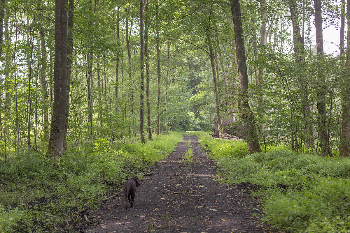 Schwer Rundwanderweg wurde herbstfein gemacht