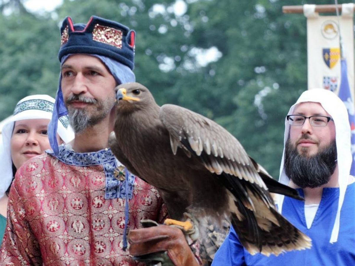 Hingucker Greifvgel. (Foto: Oliver Krmer)