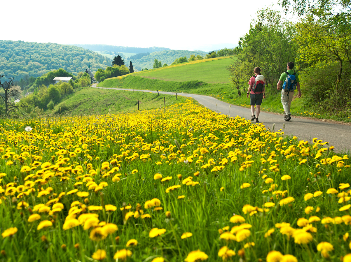 Wandern im Gelbachtal. Quelle: Dominik Ketz