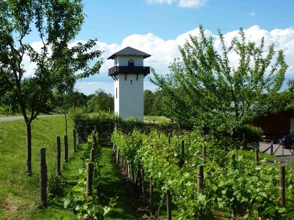 Limesturm mit Garten. (Foto: Markus Strher)