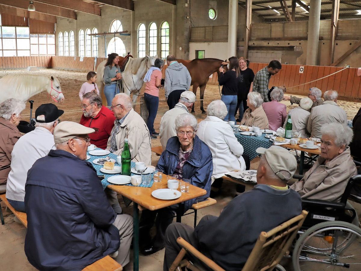 Die Gste der 555er kamen den Pferden auf dem Lindenhof nahe. (Foto: Uli Schmidt)