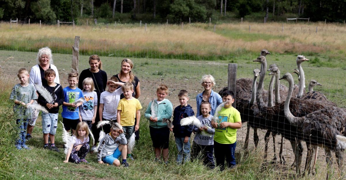 Besuch der Schulklasse am Rothenberg. (Foto: Doris Kohlhas)