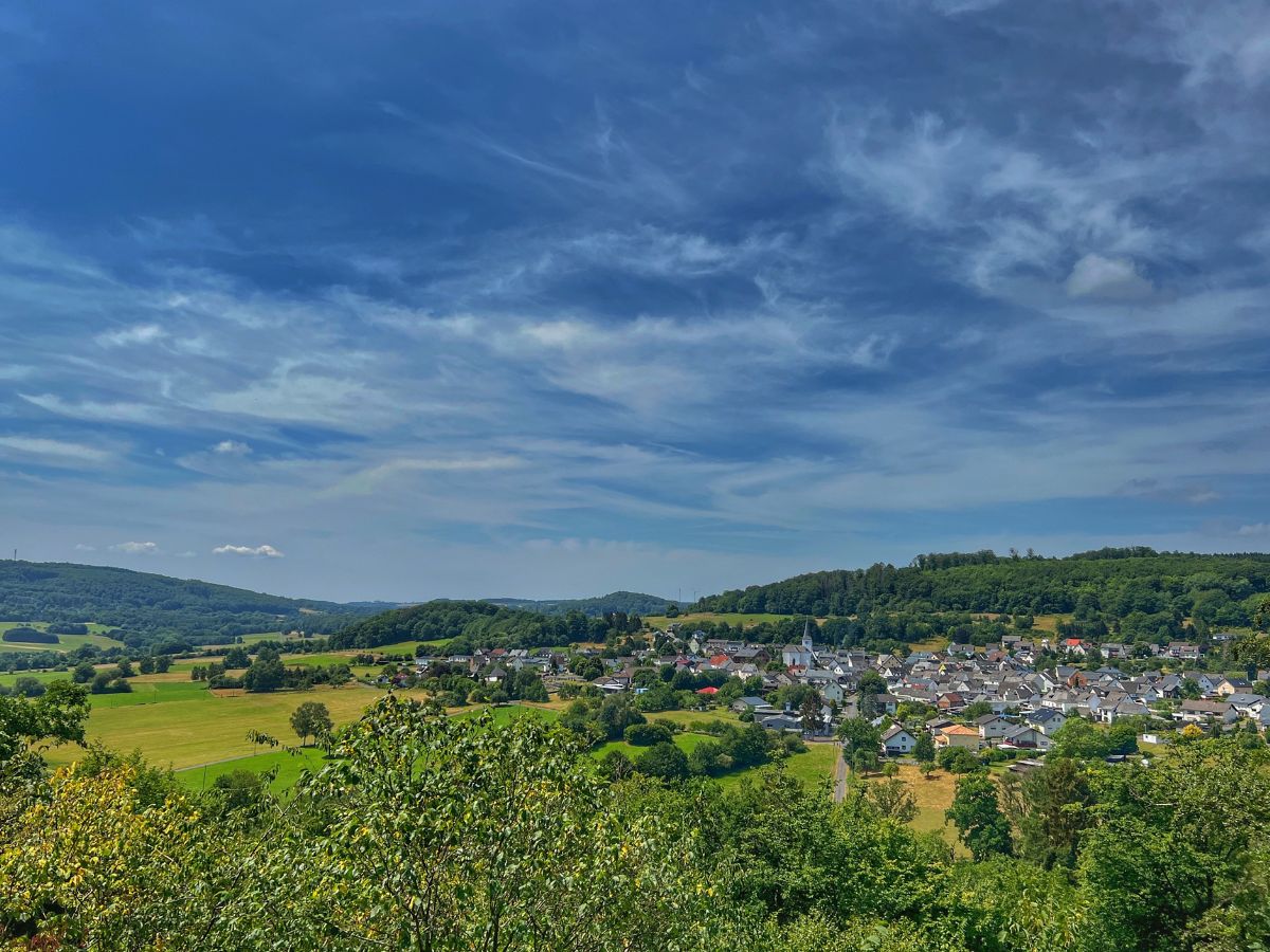 Gemnden mit seiner Stiftskirche. (Foto: Rainer Lemmer)