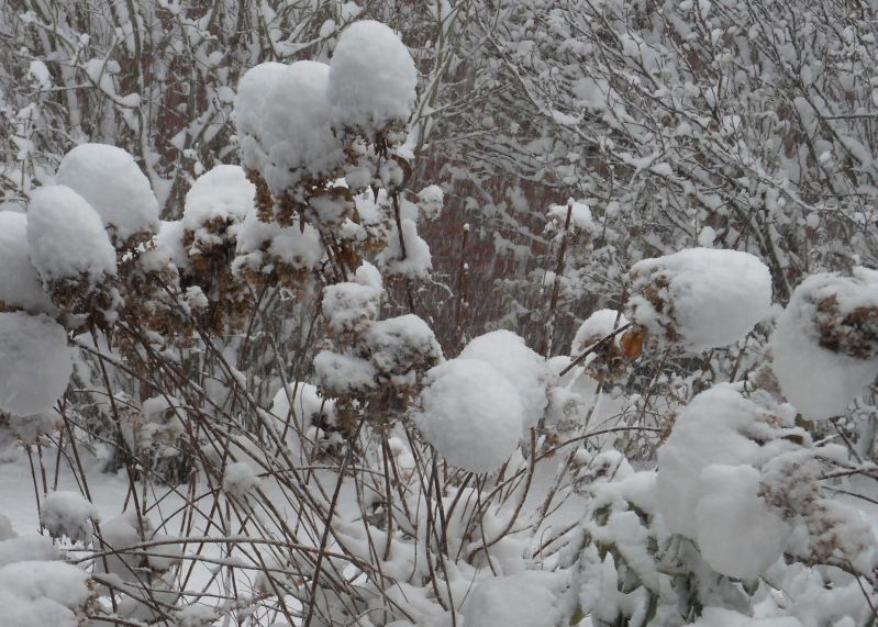 So, mit Schneemantel, war die Landschaft eigentlich geplant. Foto: privat