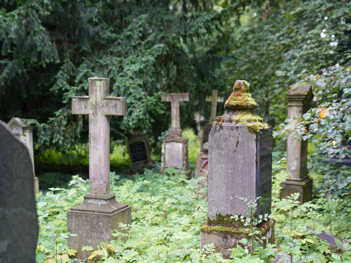 Neuwied zwischen Deich und Denkmlern am 14. September entdecken