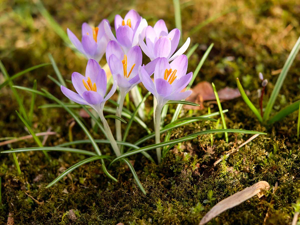 Symbolfoto. (Foto: Pixabay / Couleur)