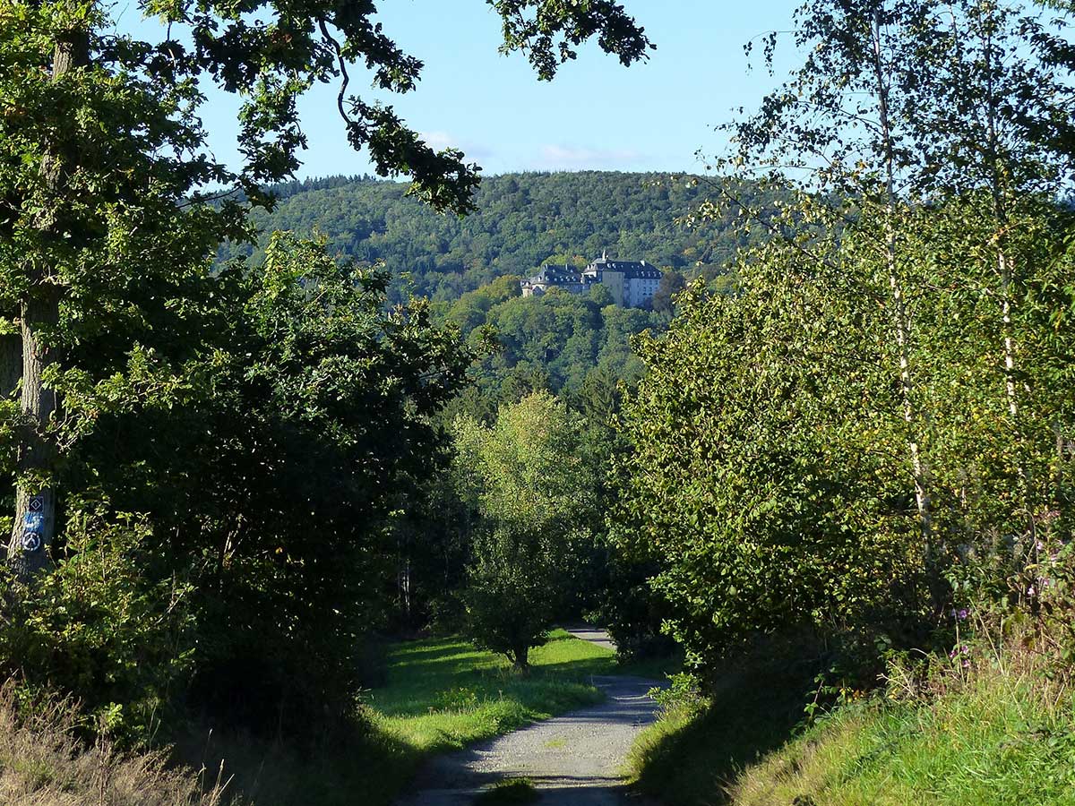 Jetzt Kinder anmelden fr Waldfreizeit im Schatten der Freusburg
