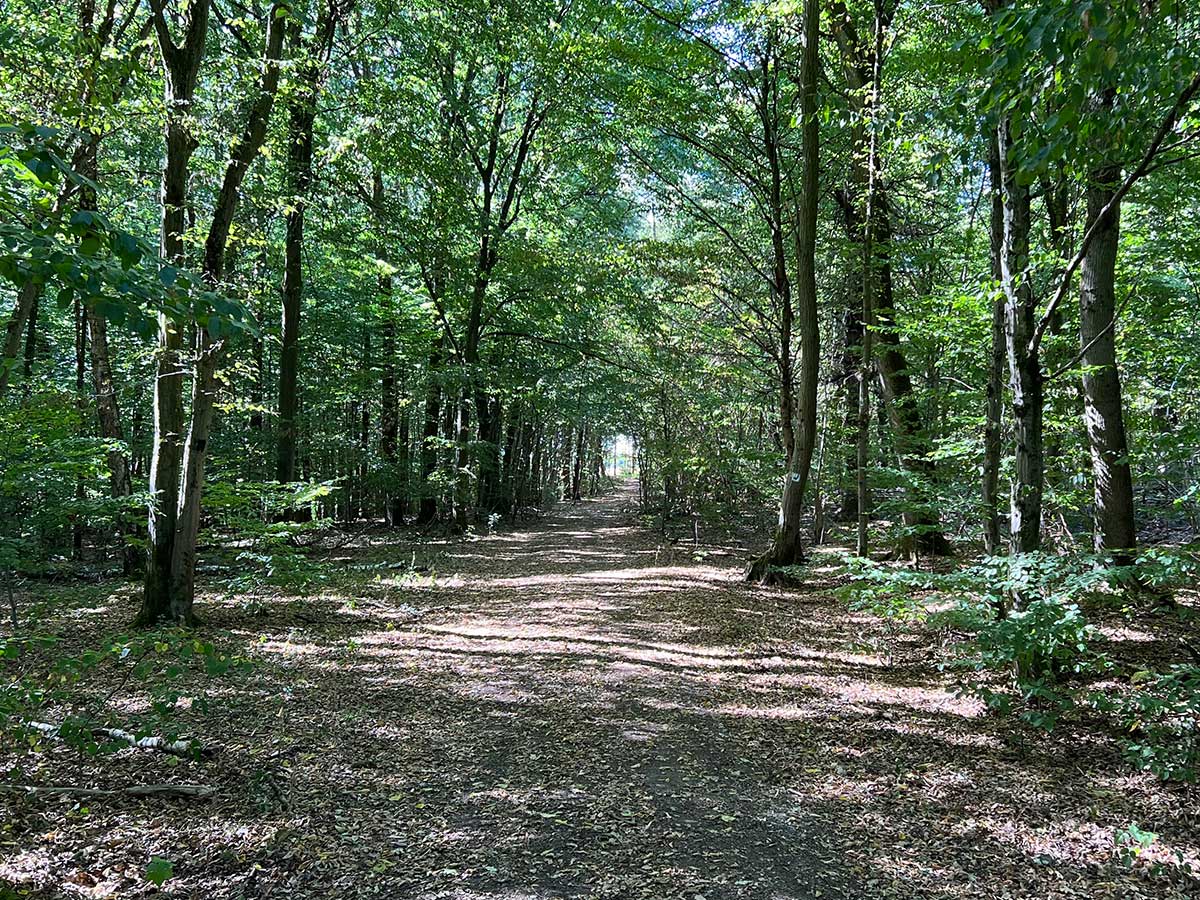 Wandertag des SV-Breitscheidt am 9. Oktober