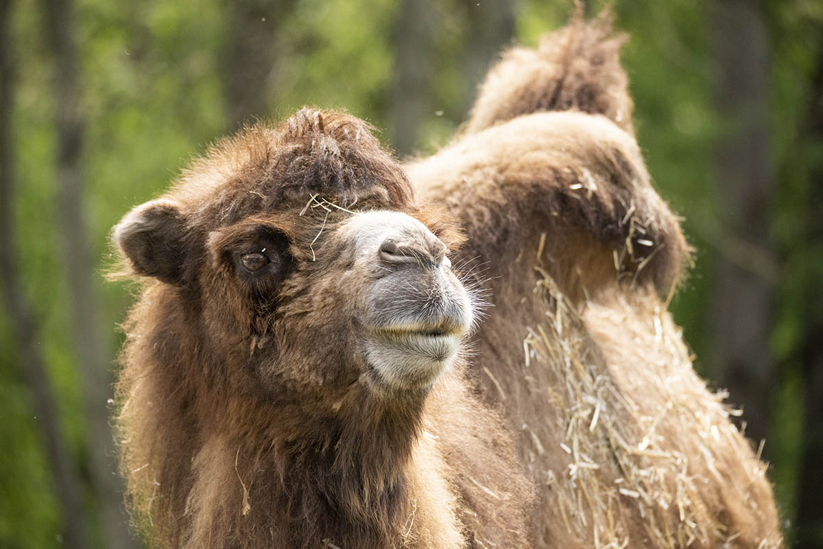 Der Herbst hlt Einzug im Zoo Neuwied