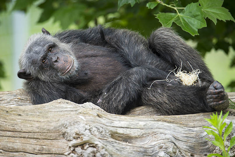 Zoo Neuwied ist wieder geffnet