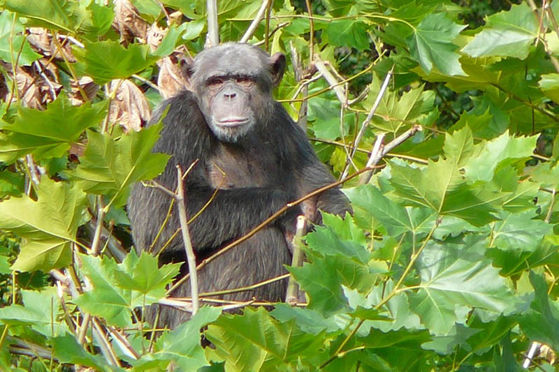 Foto: Zoo Neuwied