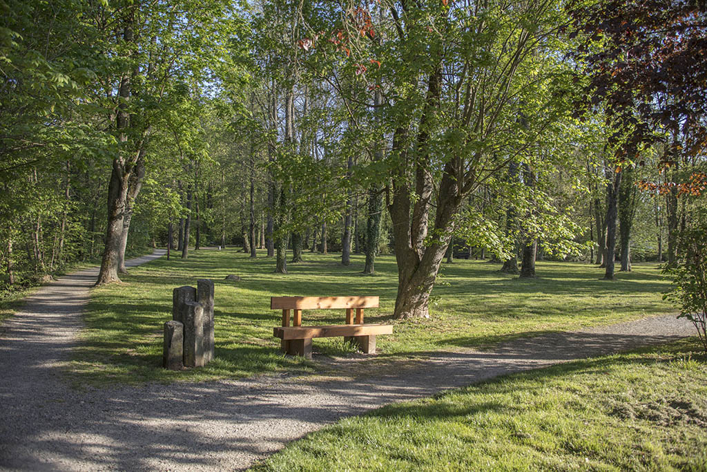 Dierdorf Stadtentwicklung - online-Beteiligung noch mglich