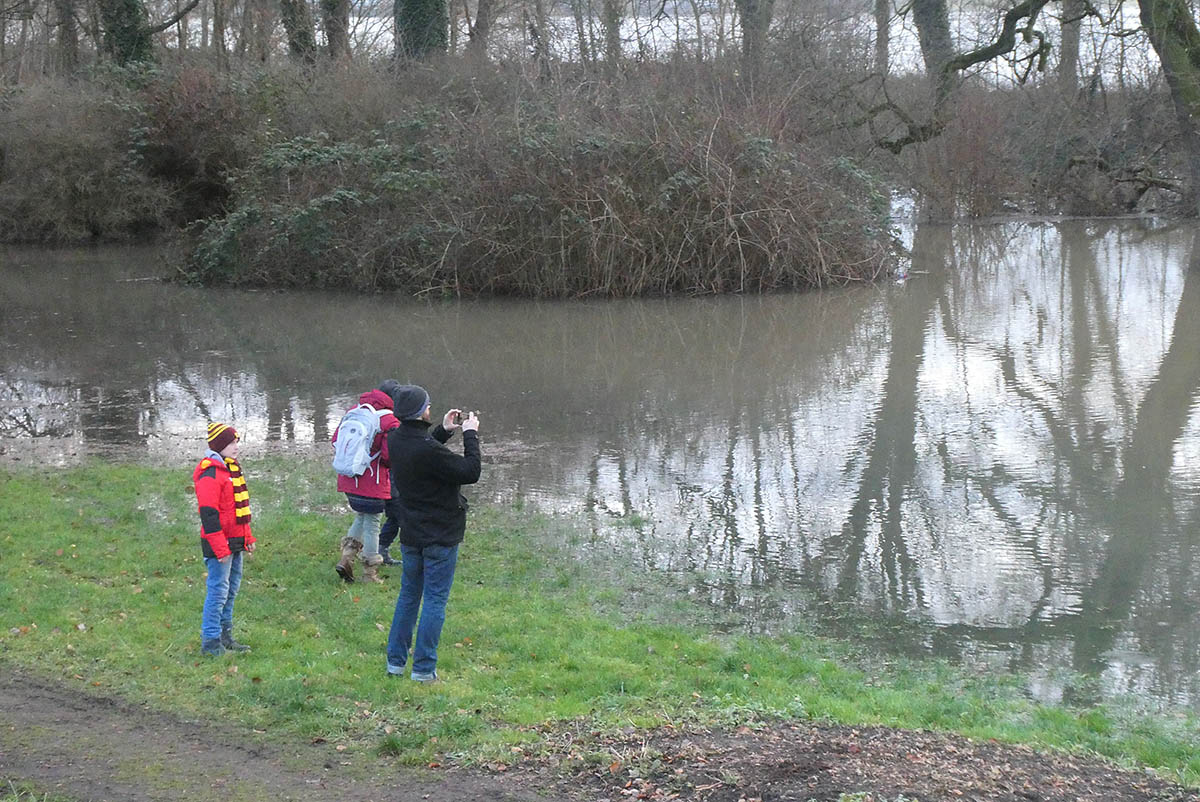 Hochwasser: Schlosspark Neuwied als interessante Seenplatte