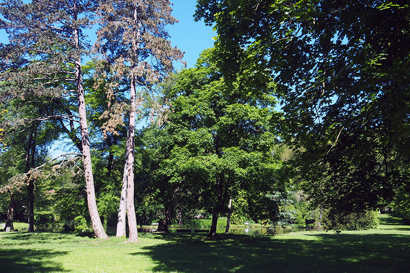 Im kommenden Semester finden einige Kurse der VHS Bendorf im Sayner Schlosspark statt. Foto: VHS