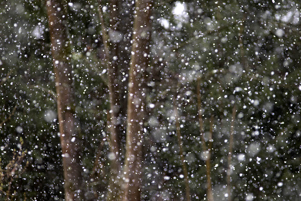 Westerwaldwetter: Winter zeigt erstmals die Krallen