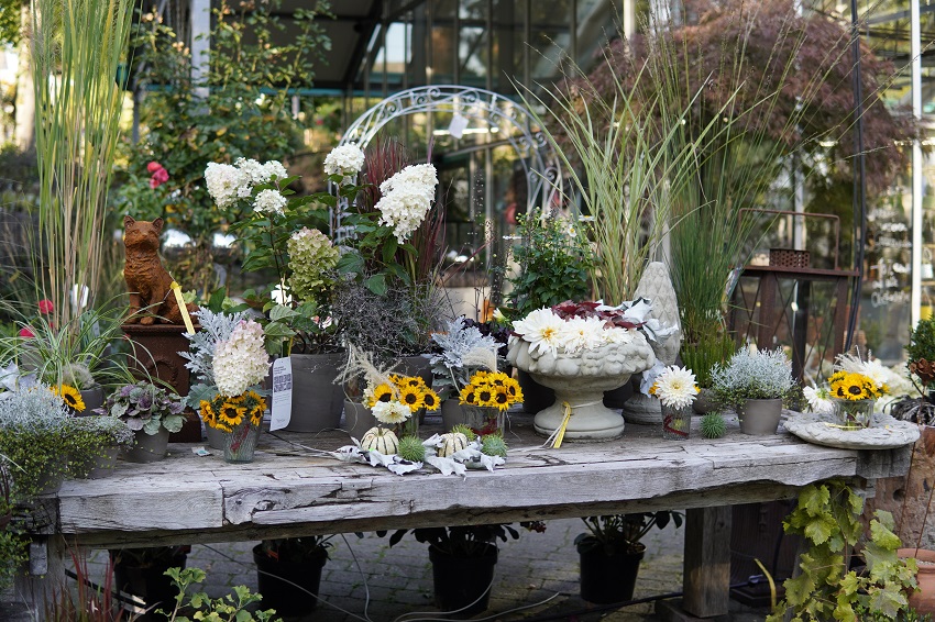 Die HerbstGensse locken zum Pflanzenhof Schrg. (Fotos: LeaS)