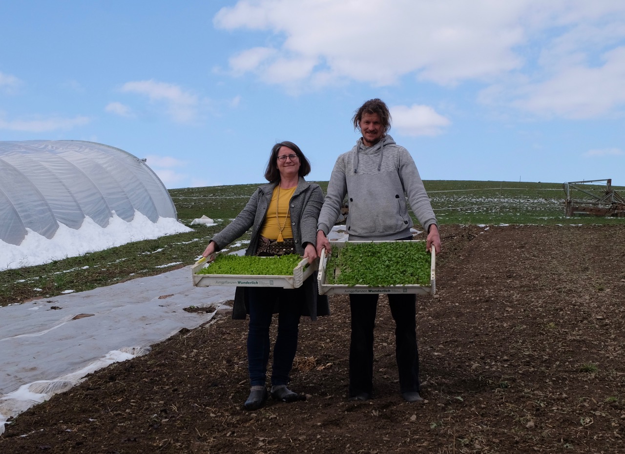 Die gerade in Bio-Qualität eingekauften Salatpflänzchen werden von Meike Müller-Schlosser und Sebastian Müller bei den doch noch eisigen Temperaturen im Tunnelgewächshaus für ihre baldige Erde eingepflanzt. (Fotos: KathaBe)
