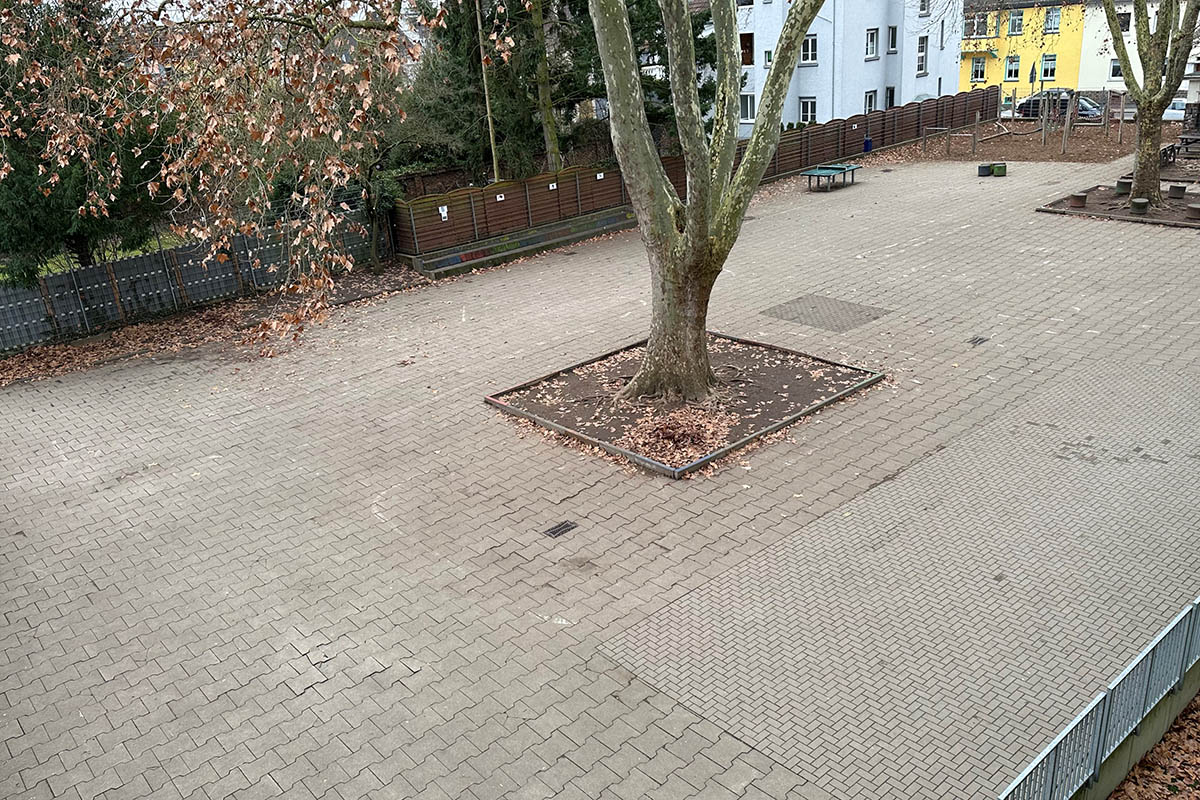 Foto: Ulf Steffenfauseweh