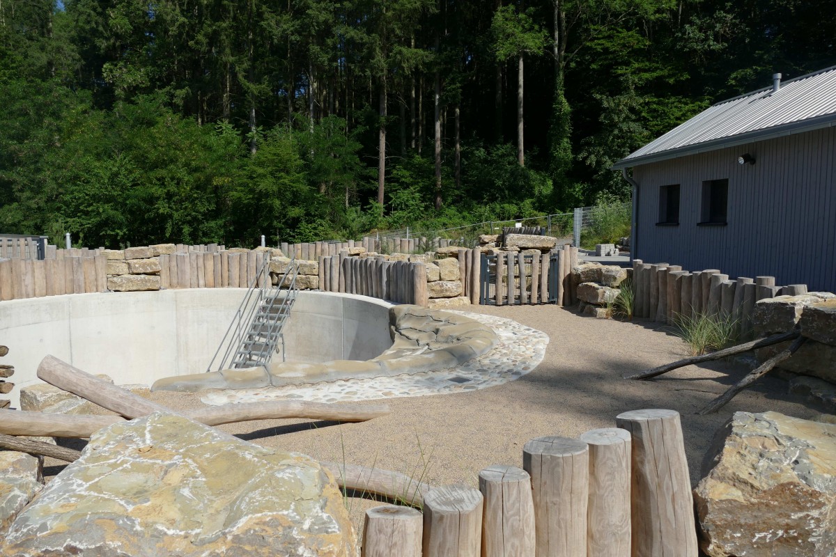 Die neue Seehundanlage im Zoo Neuwied nimmt Gestalt an. Bei den Baustellen-F�hrungen erfahren Besucher mehr �ber den aktuellen Baufortschritt und die noch ausstehenden Arbeiten. (Foto: Franziska Waked)