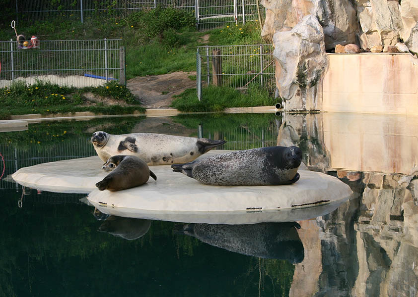 Endlich wieder Fhrungen im Zoo Neuwied