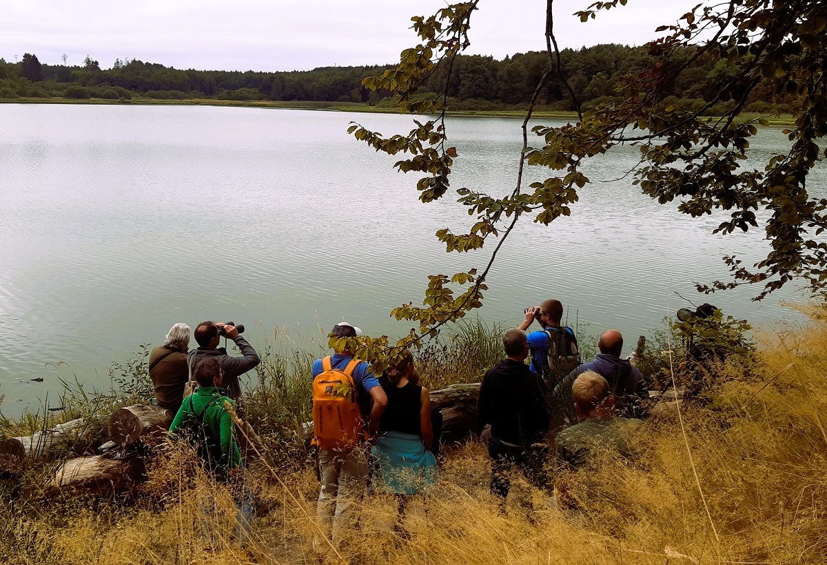 NABU-Rheinland-Pfalz: Letzter Aufruf für die Ausbildung zum "Westerwälder Seen-Scout"