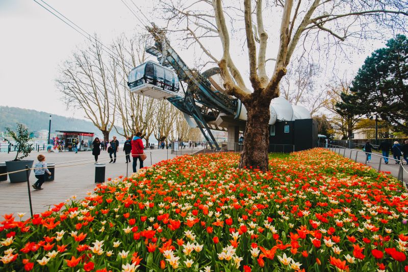 Seilbahn Koblenz. Foto: Henry Tornow