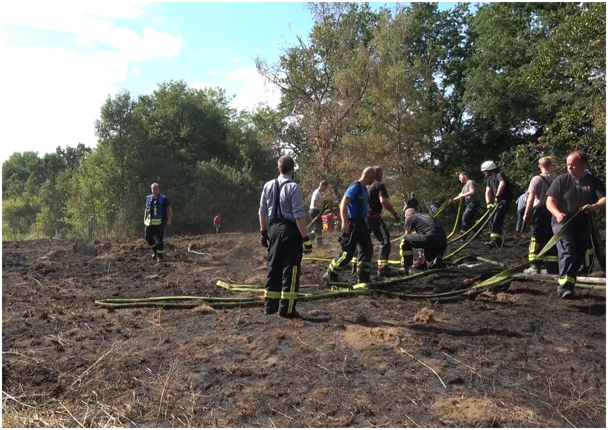 Groflchiger Gelndebrand bei Selters: 2000 Quadratmeter Wiese verbrannt