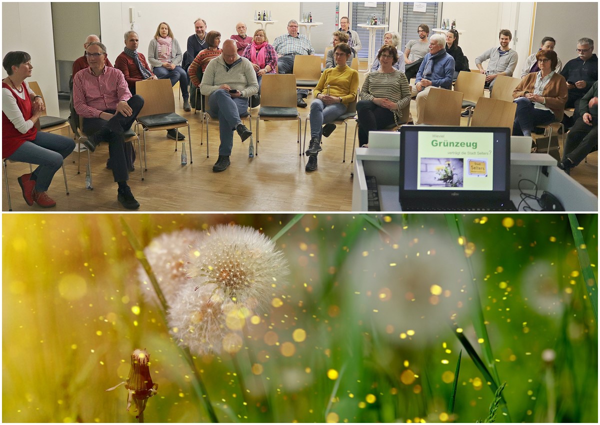 "Wie viel Unordnung vertrgt das stdtische Grn in Selters?" (Foto oben: Brgerliste Selters; Foto unten: Symbolbild, Quelle: Pixabay)