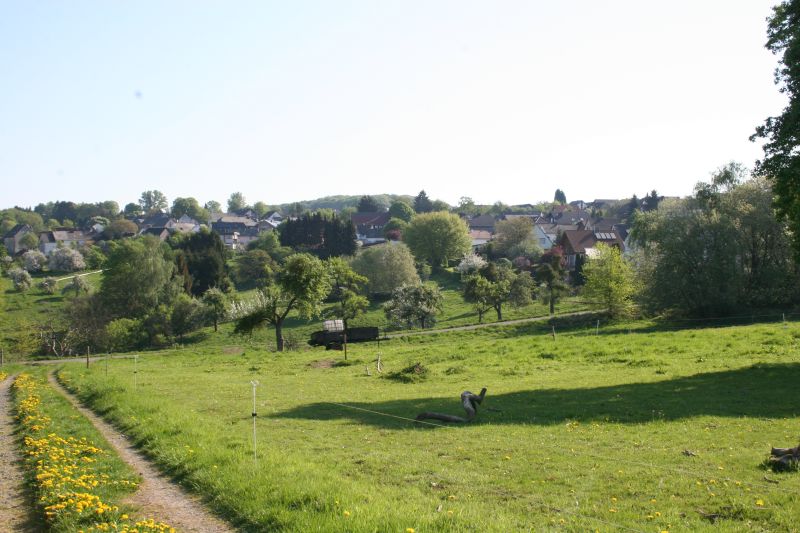 Gemeinsame Sitzung bezglich Kindertagessttte Sessenbach