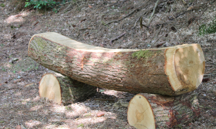 Neue Ruhebank am Druidensteig