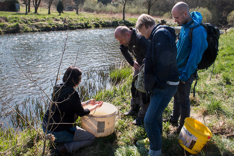 Fachseminar Gewsserkologie fr Naturschtzer an der Nister 