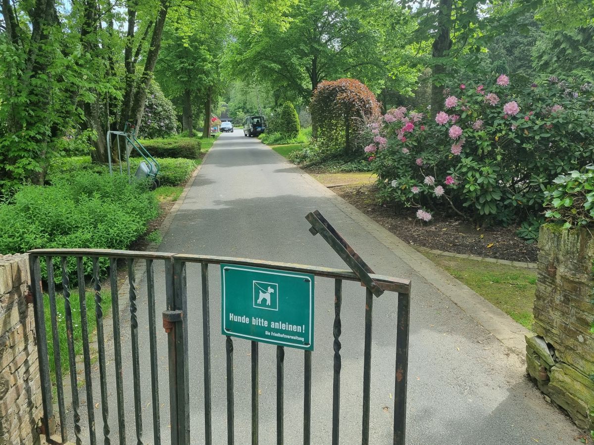 Der Charakter des Waldfriedhofs soll unter keinen Umstnden bei einer Umgestaltung und Sanierung verloren gehen. (Foto: vh)   