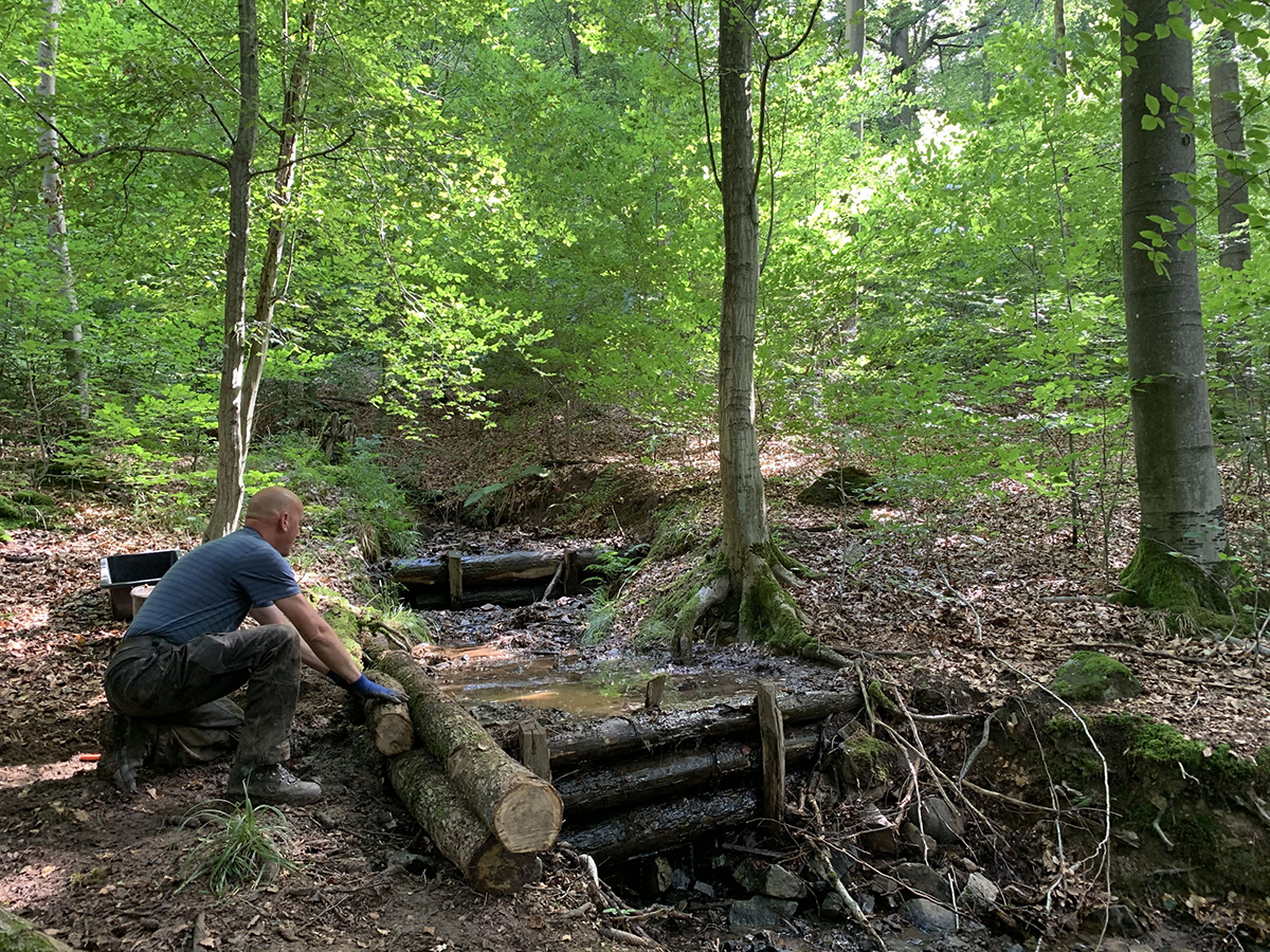 Mitmach-Aktion am Nauberg: Gemeinsam fr den Wasserrckhalt im Wald