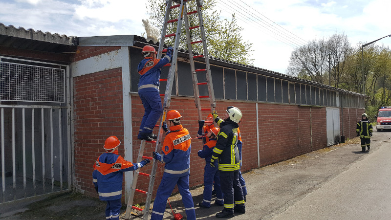 Der Steinebacher Feuerwehrnachwuchs empfand den Alltag einer Berufsfeuerwehr nach. Fotos: Feuerwehr Steinebach